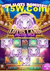 Casino Ao Vivo br336